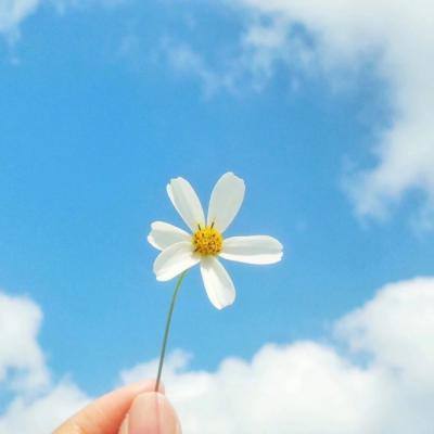 独步传奇官方版下载