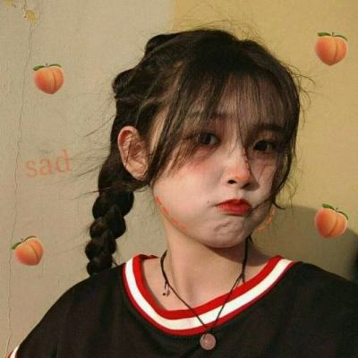 pocketinveditor pro最新版下载
