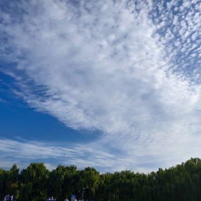 大唐仙侠情缘官方版(暂未上线)v1.0 安卓最新版